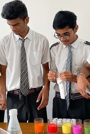 Miranda International School event